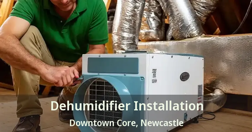Dehumidifier Installation Downtown Core, Newcastle - ON