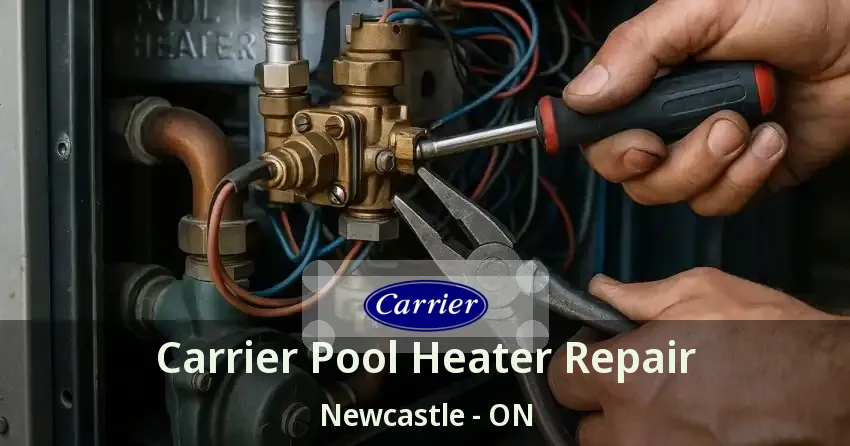 Carrier Pool Heater Repair Newcastle - ON